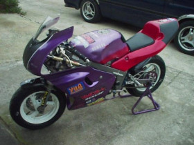 Yamaha TZM 50